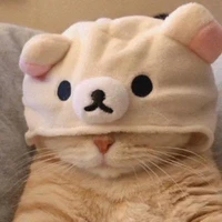 ChenYufeng's profile picture